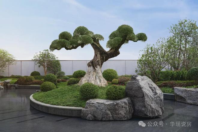 王！狮山「安雲180」惊爆开卷！尊龙凯时苏州神盘！360°兑现(图22)