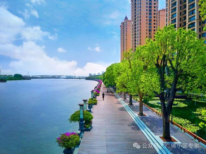 半岛五號售楼处：星河湾·半岛定义高端人居尊龙凯时app网站⚡今日头条@星河湾·(图2)