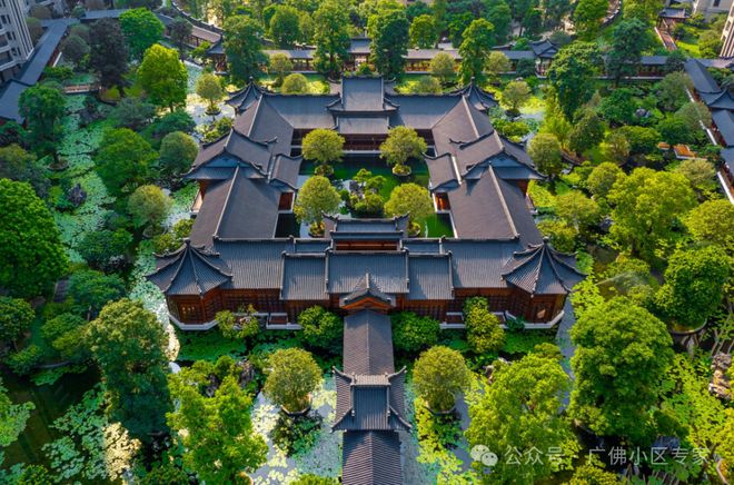 半岛五號售楼处：星河湾·半岛定义高端人居尊龙凯时app网站⚡今日头条@星河湾·(图12)