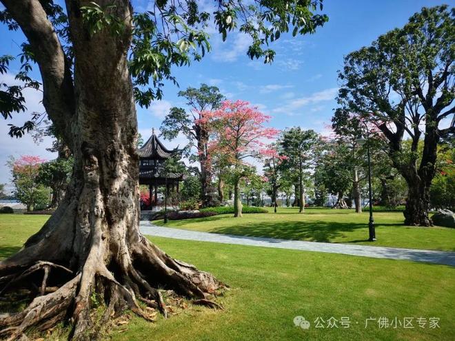 半岛五號售楼处：星河湾·半岛定义高端人居尊龙凯时app网站⚡今日头条@星河湾·(图16)