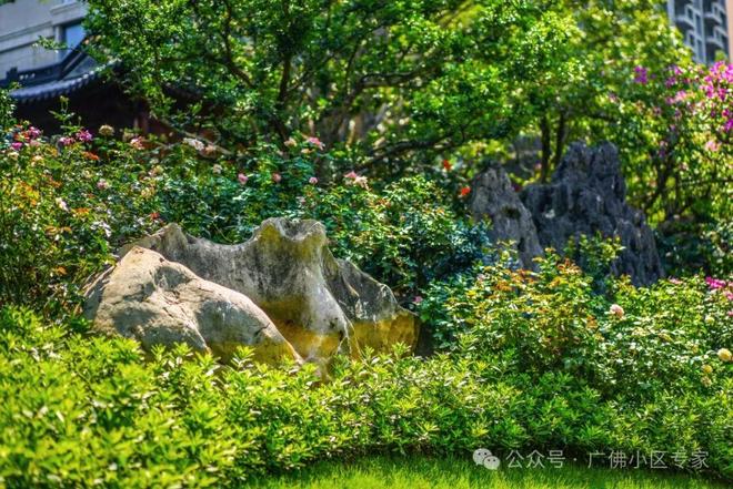 半岛五號售楼处：星河湾·半岛定义高端人居尊龙凯时app网站⚡今日头条@星河湾·(图20)