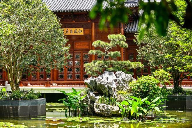 半岛五號售楼处：星河湾·半岛定义高端人居尊龙凯时app网站⚡今日头条@星河湾·(图28)